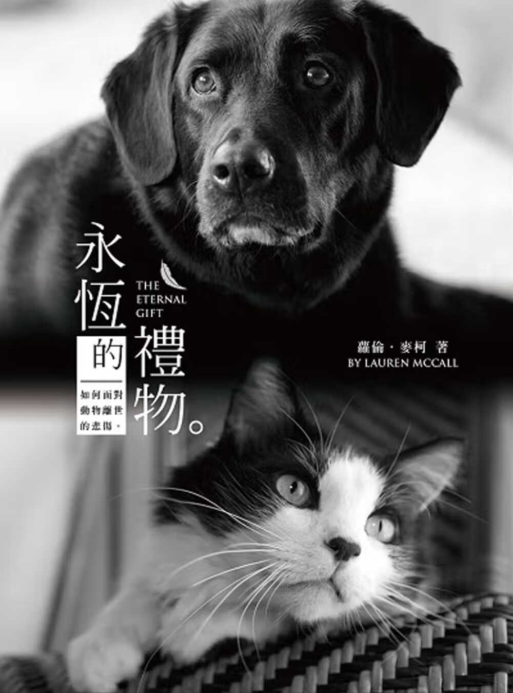 在途 萝伦-麦柯 永恒的礼物 正向思维艺术有限公司