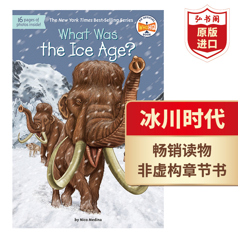 冰川时代 what was the ice age 英文原版 历史文化科普 英语读物