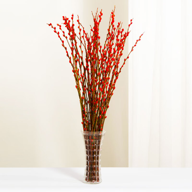 元井 银柳真花鲜枝干花新年宵花春节室内插花春节过年喜庆花卉 40cm