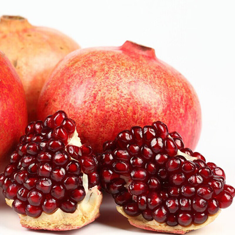 突尼斯无籽石榴树苗南方北方种植盆栽地栽果树果大易活当年结果 2年苗