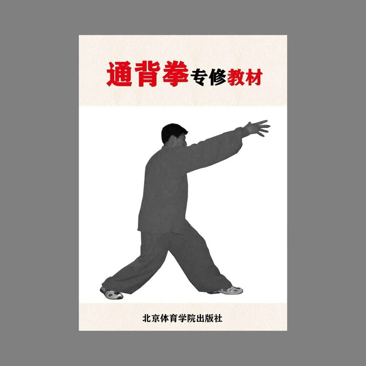 传统武术 通背拳专修 学院社 166页