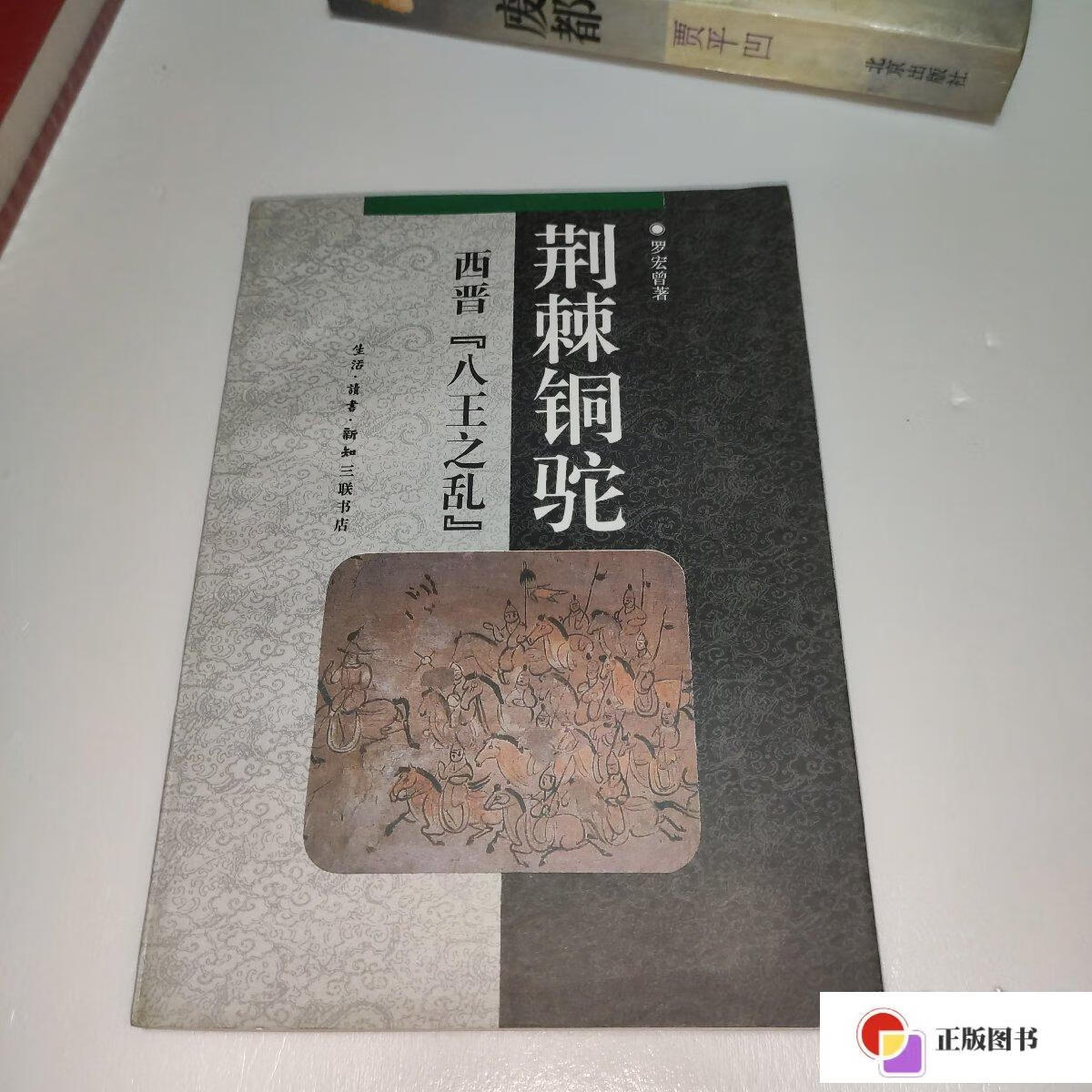 【二手9成新】荆棘铜驼:西晋"八王之乱" /罗宏曾 生活·读书·新知