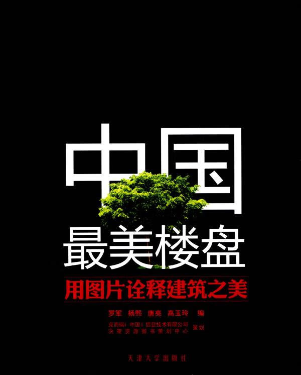 中国最美楼盘 罗军等编 9787561832714正版
