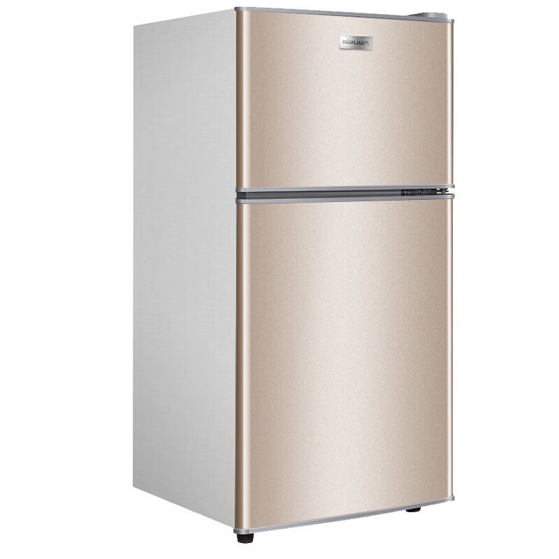 日普（RIPU）42升双门小型家用小冰箱迷你宿舍租房电冰箱冷藏冷冻一级节能省电BCD-42A118D金色