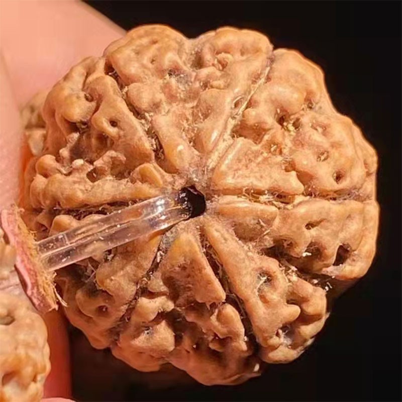 慕木阁正宗六瓣尼泊尔大金刚菩提子手串满肉原籽佛珠男女文玩 mg186 【玩家级】满肉蜜蜡款(21毫米) 【六瓣】