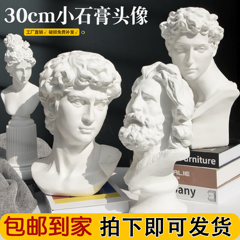 大卫石膏头像小号小卫石膏像美术教具模型素描静物道具静物写生摆件