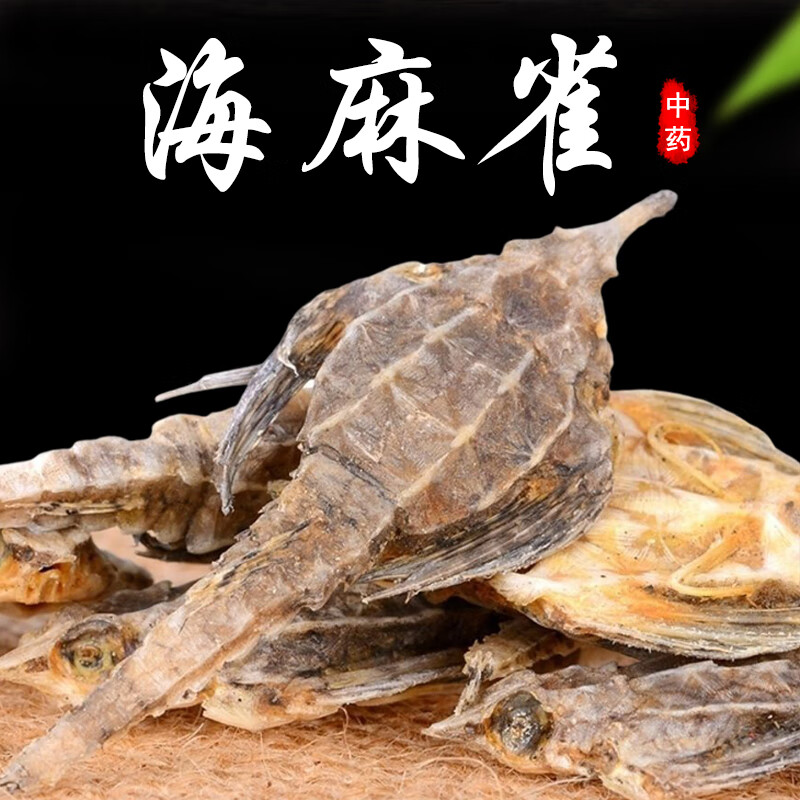 海燕中材500g级正宗海麻雀海燕干货野生海燕子天然煲汤泡酒料 【海燕