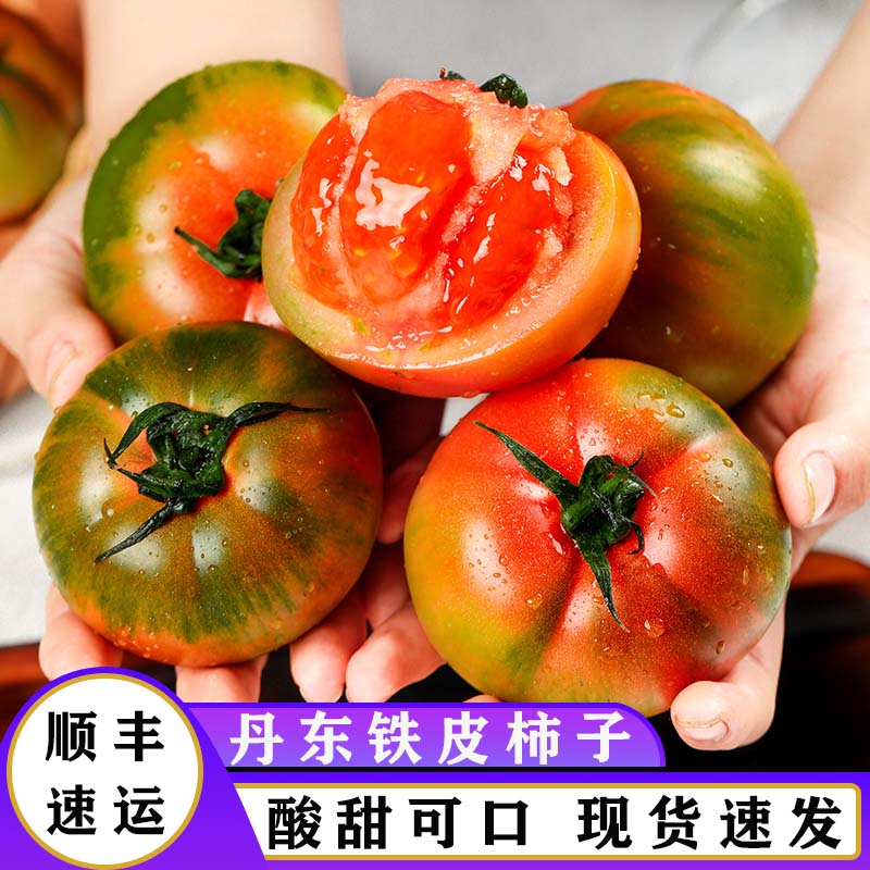 京遇良橙辽宁丹东铁皮柿子铁皮西红柿碱地脆鹰爪盘锦新鲜应季蔬菜 5斤