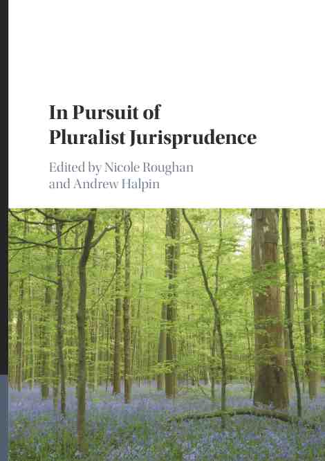 预售 按需印刷in pursuit of pluralist jurisprudence