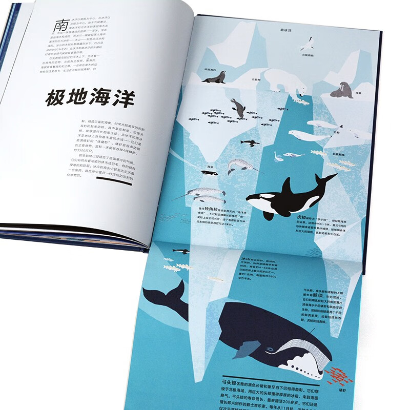 海洋的奥秘（奇想国童书）全景式呈现海洋风貌，包含海洋生物、生态系统，激光镂空、翻翻、拉页和层次设计暑假阅读暑假课外书课外暑假自主阅读暑期假期读物
