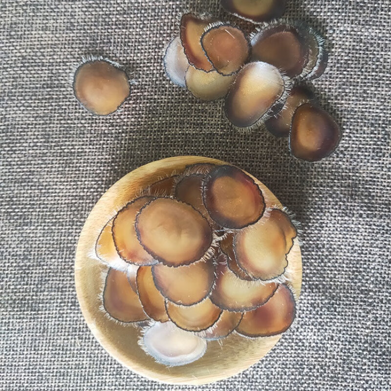 鹿茸全腊片 5g 全蜡片东北双阳鹿乡吉林梅花鹿真品男性长白山 全腊片5