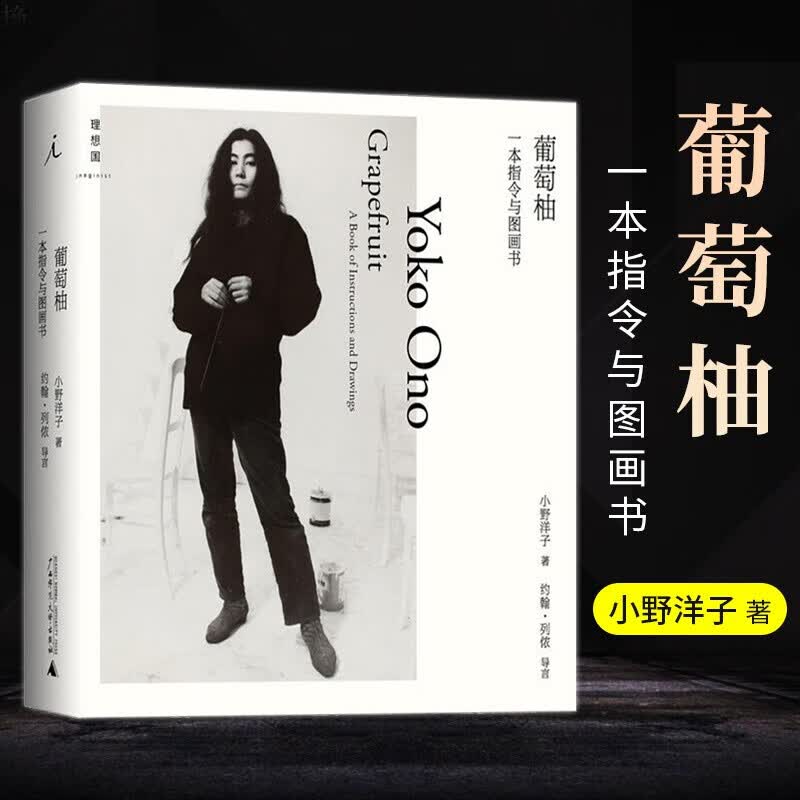 葡萄柚:一本指令与图画书  小野洋子代表作   精装    北京贝贝特