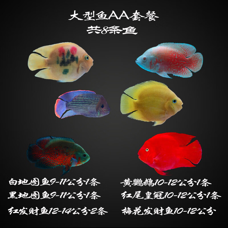 蓝鲨 相关京东优惠商品 价格图片品牌优惠券 虎窝购