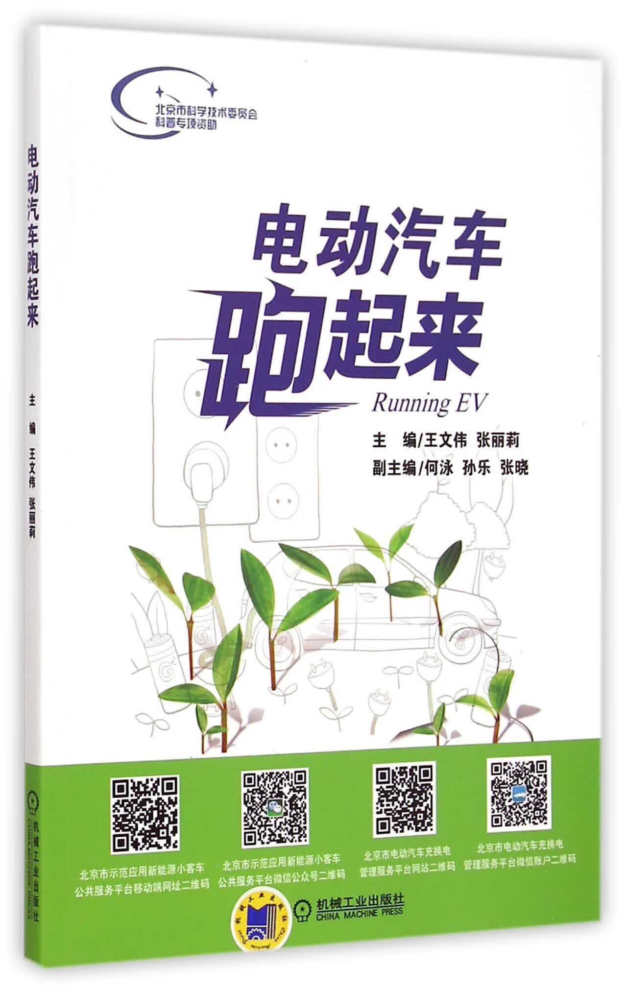 电动汽车跑起来 王文伟,张丽莉