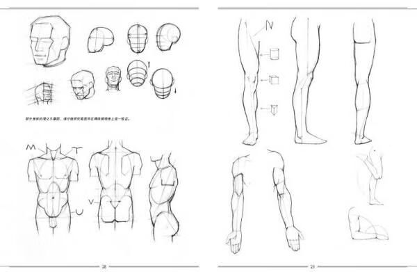 意大利名家经典绘画教程:人体素描结构与方法【上新】