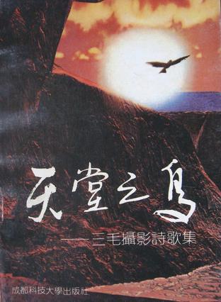 天堂之鸟 三毛,肖全【书】