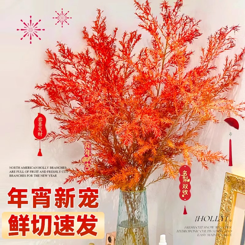 临雅千层金鲜花黄金香柳干花花束香松鲜切花绿植真花水培昆明基地直发 千层金一束3枝-红色/70-80cm