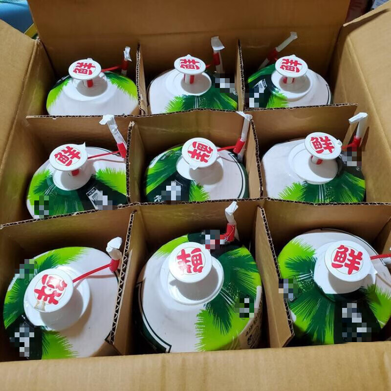 隆港汇  椰青奶椰子单果约850g新鲜当季水果易开小香耶牛奶椰 4个装