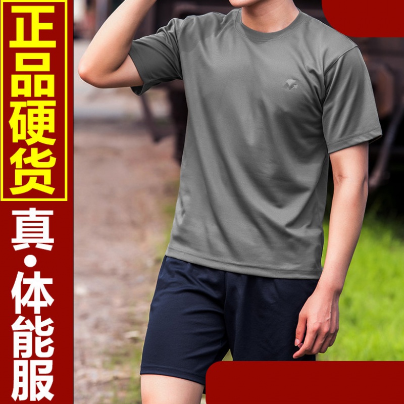 体能服陆军灰色短袖单上衣裤体能服男陆体能套装夏季3543新式 灰色单