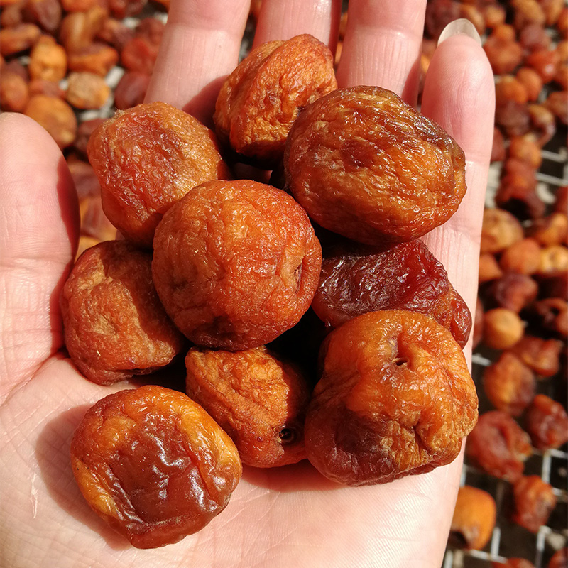 番薯鲜森 新疆吊干杏树上吊杏干大颗农家吊树杏子干杏仁果干 中果吊干