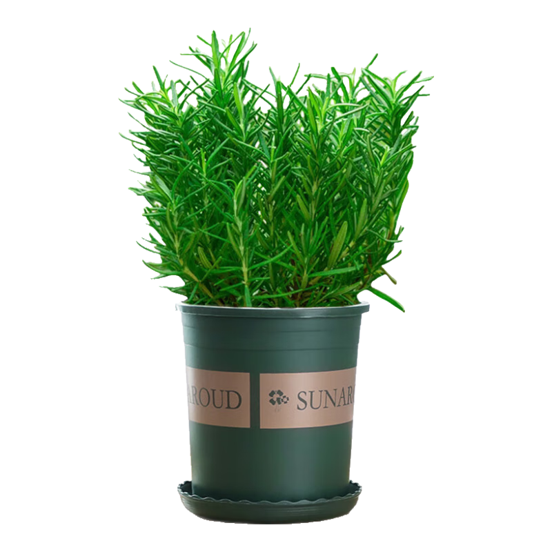 ���ڲ������������Կ�ʳ�ð��������ֲ������ �����Ե��㣨�����裩Դͷֱ�� 23.8Ԫ