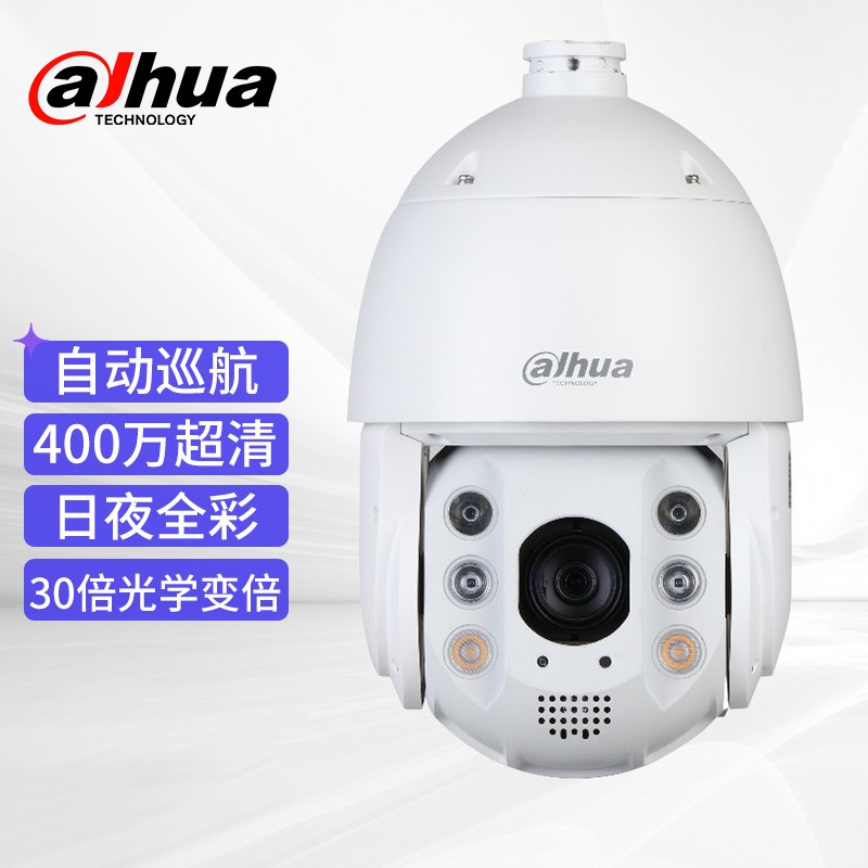 大华（dahua）监控摄像头400万全彩声光警戒智能球机内置扬声器球形摄像机DH-SD6C84FX-GNP(ZJ)-A 4.8～144mm