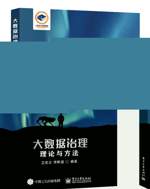 大数据治理：理论与方法