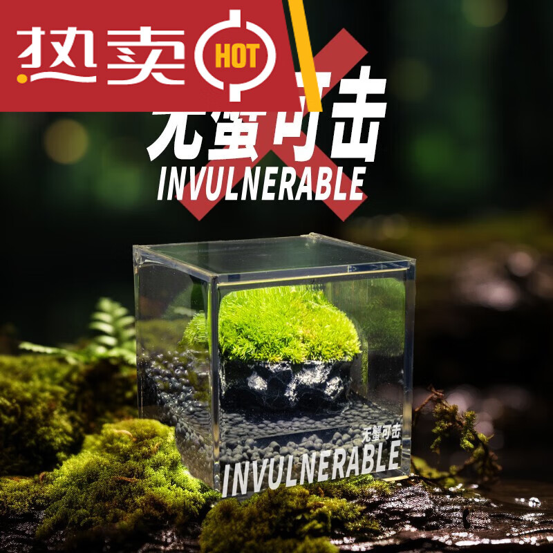 穆淳傲无蟹可击苔藓微景观生态瓶办公室内桌面小盆栽绿植diy螃蟹缸