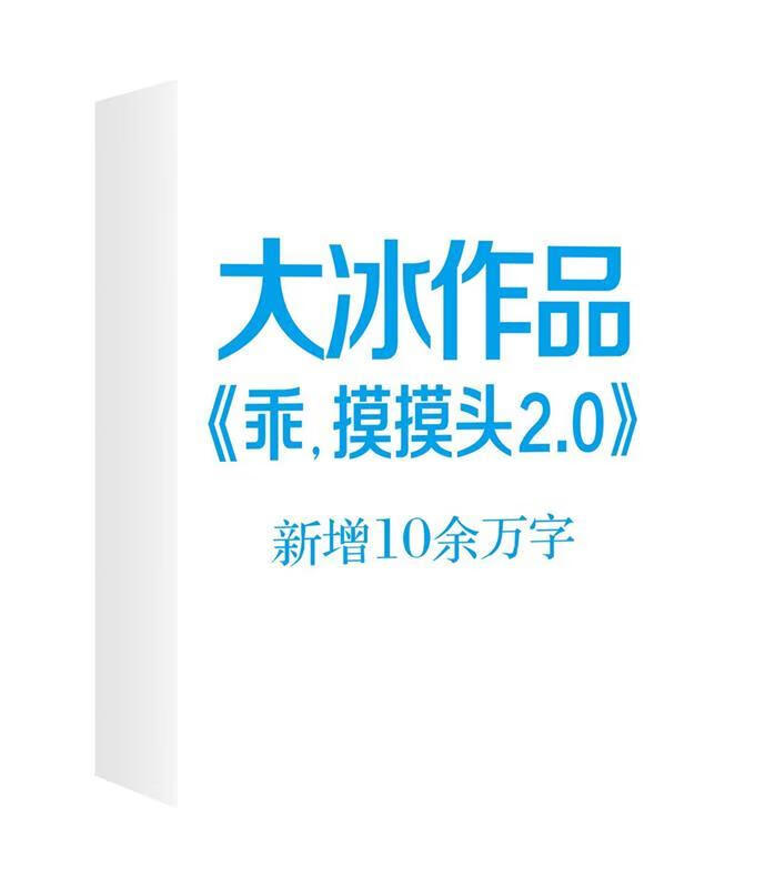 0 大冰作品 正版图书