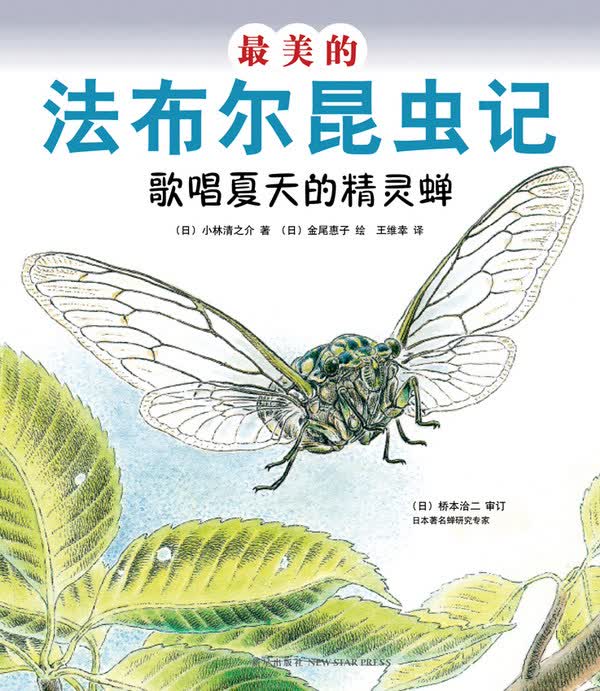 美的法布尔昆虫记:歌唱夏天的精灵蝉 (日)小林清之介【正版书】