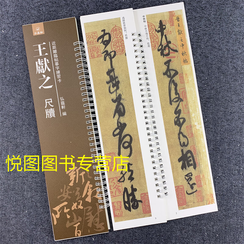 近距离临帖摹字练习卡 弘蕴轩编 王献之草书毛笔字帖 鸭头丸帖玄度帖