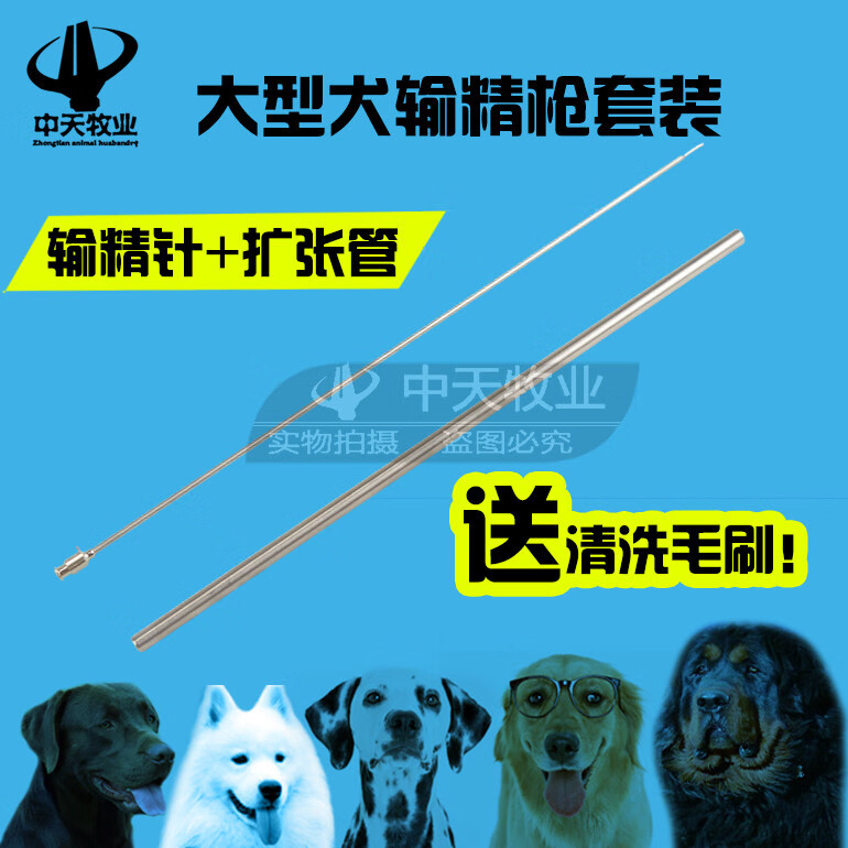 藏獒专用输精针输精管 大型犬狗用输精针 犬用人工授精输精针 32cm外