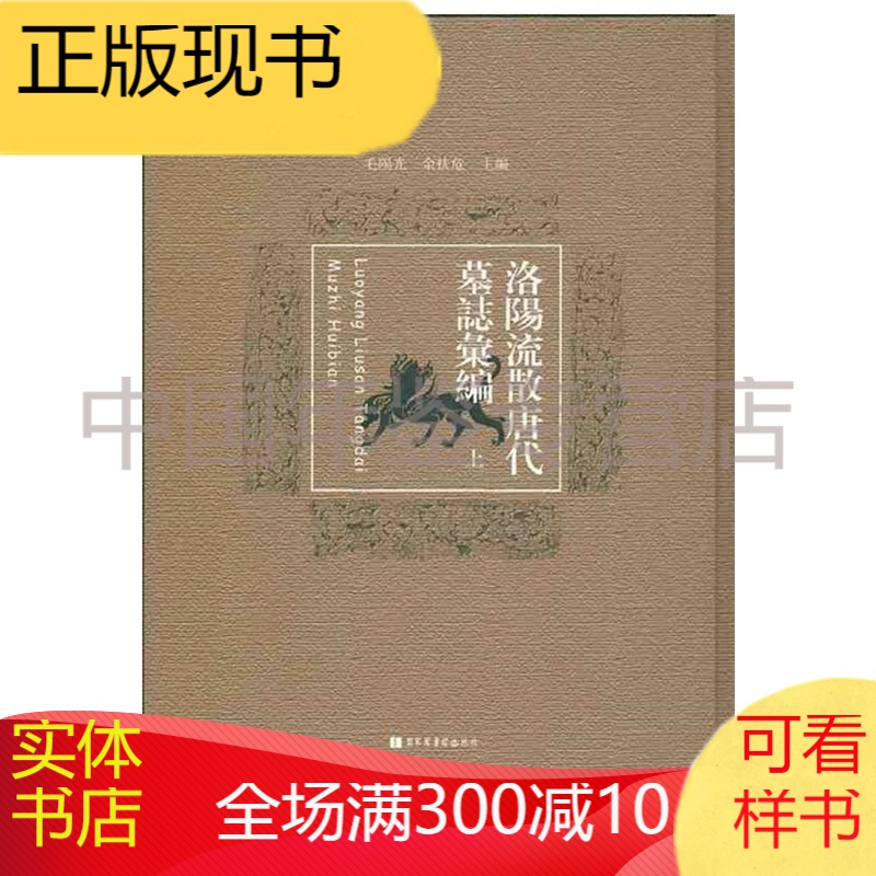 洛阳流散唐代墓志汇编（8开精装 全二册）