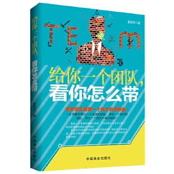 给你一个团队，看你怎么带