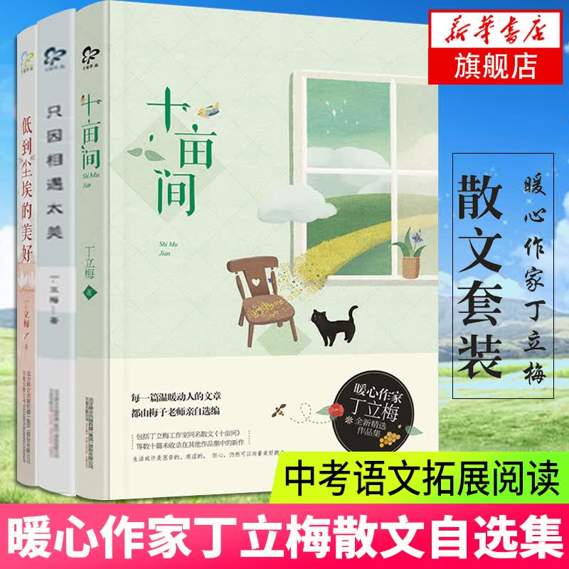 丁立梅精选散文集初中 低到尘埃的美好+只因相遇太美+十亩间 中考语文中学生拓展阅读青