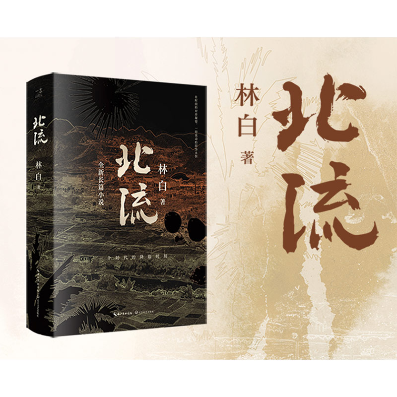 北流 林白著 全新长篇小说 华语文学传媒大奖,老舍文学奖得主林白沉潜