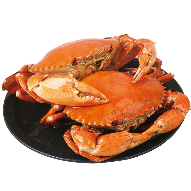 林中山【活鲜】青蟹三门县特产一斤一只满膏大红膏蟹母蟹海鲜螃蟹 1斤