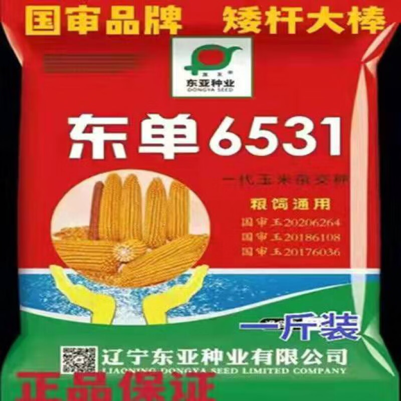 细辛批发双胞胎国审6531高产原装玉米苞谷种大全紫杆紫根活杆成熟