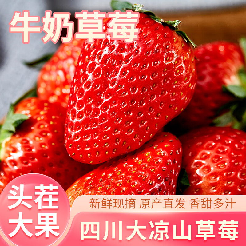 果小恩四川大凉山红颜牛奶油大草莓生鲜水果礼盒部分地区次日达 2.5斤净重【单果8-12g】