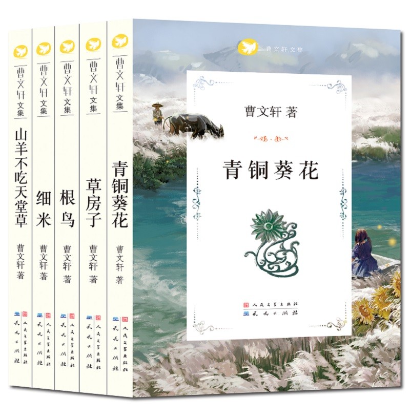 草房子(曹文轩代表作六年级推荐课外阅读油麻地里男孩桑桑的心灵成长