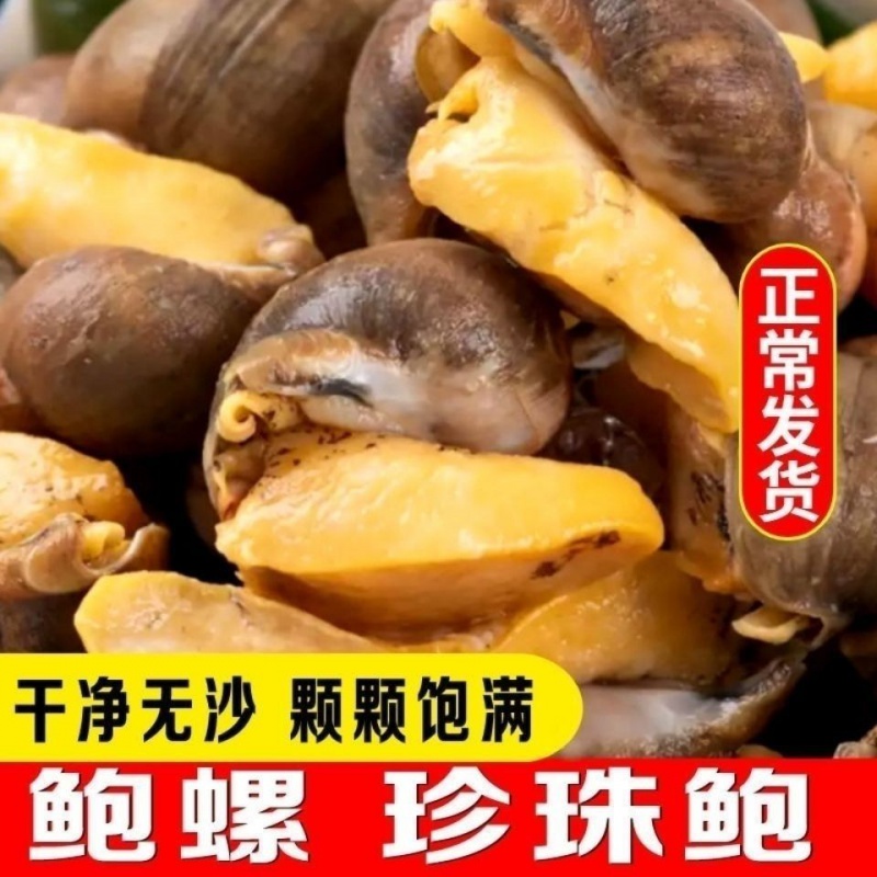 鲍螺老婆脚假鲍鱼鲜活无沙海蜗牛熟冻带壳大脚螺网红新鲜海鲜贝类