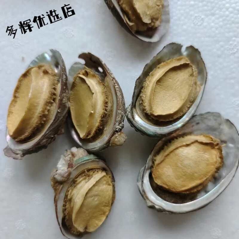 鲍鱼干精品超大60头大连鲍鱼干品质滋补批发 一斤60头带壳鲍鱼干50克