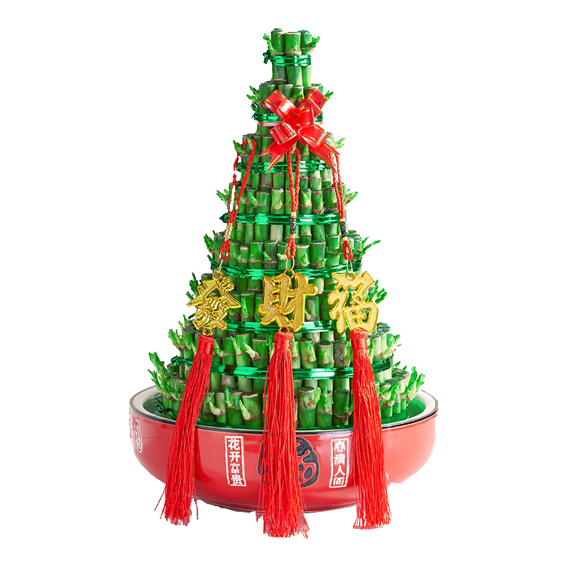 花翁節(jié)節(jié)高富貴竹水培盆栽植物 八層竹塔+紅福瓷盆+發(fā)財福源頭直發(fā)