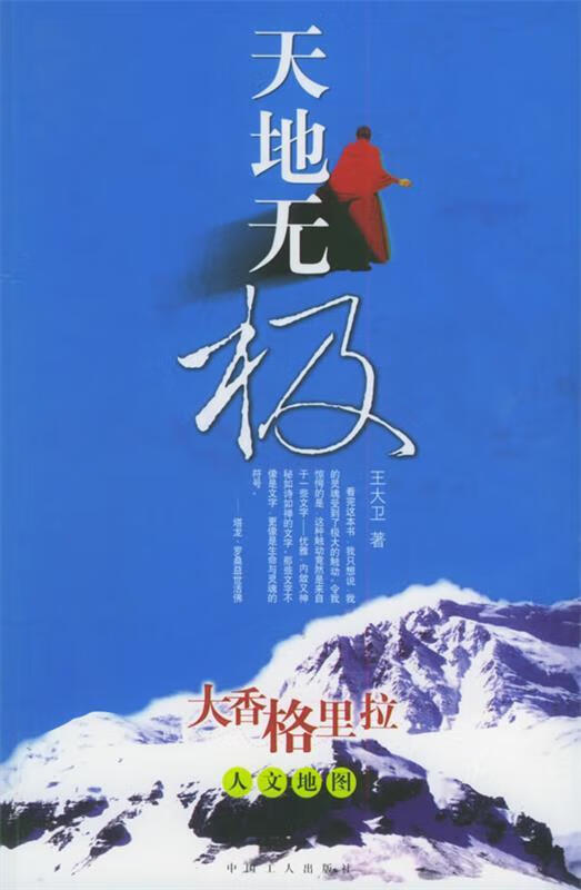 天地无极 王大卫 工人出版社