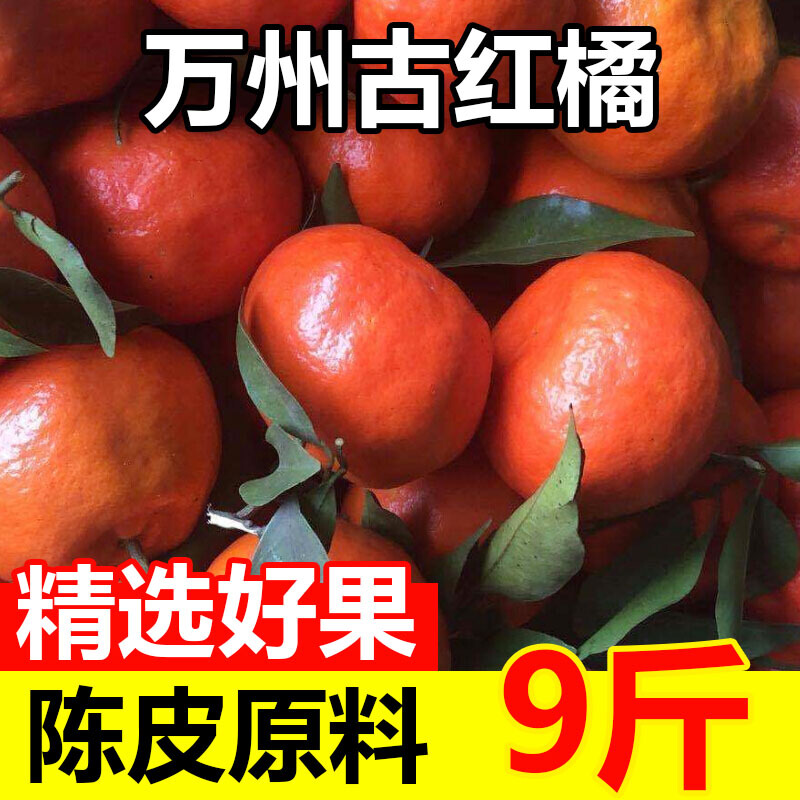 钦辰奕【现采摘速发】四川红橘万州古红桔重庆大红袍桔子陈皮精选中大