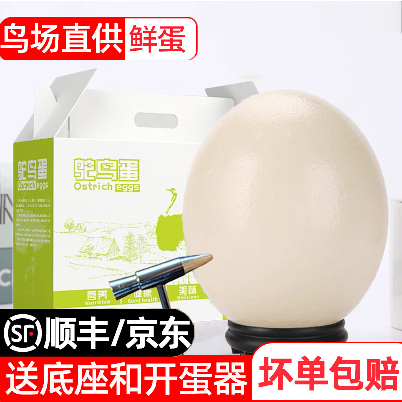 新鲜鸵鸟蛋可食用美食大号鸵鸟蛋不可孵化节日礼品蛋壳可雕刻 1枚 3斤