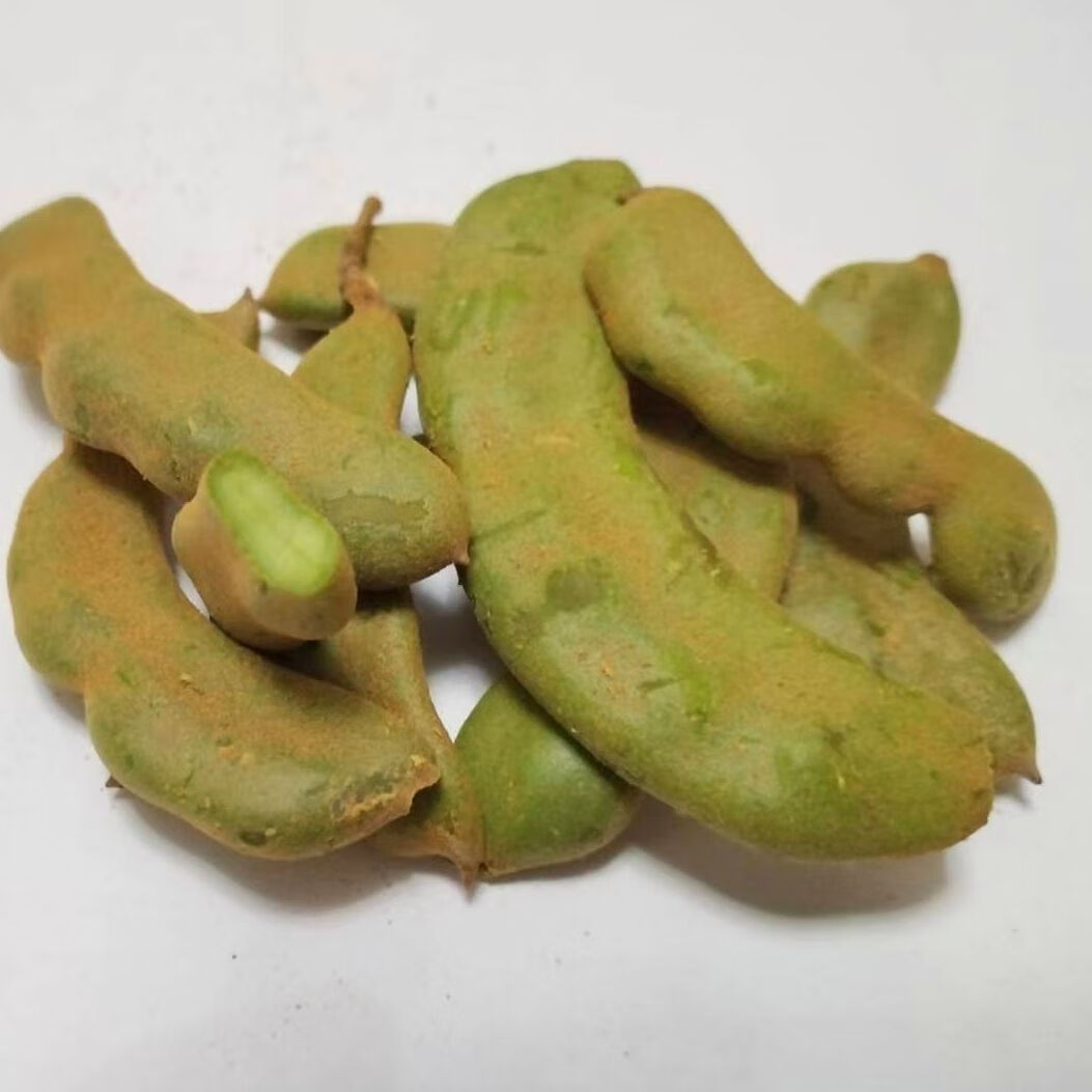 海南儋州特产 新鲜酸豆生酸角酸梅三亚酸鱼汤原料罗望子曼姆 半斤