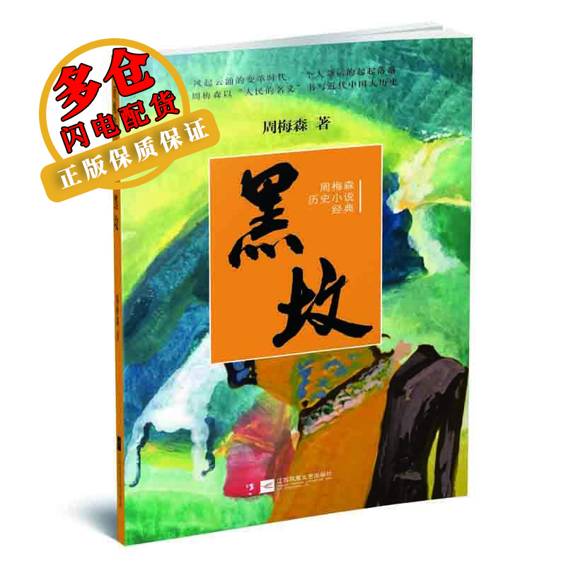 黑坟 周梅森 著 官场小说 WX