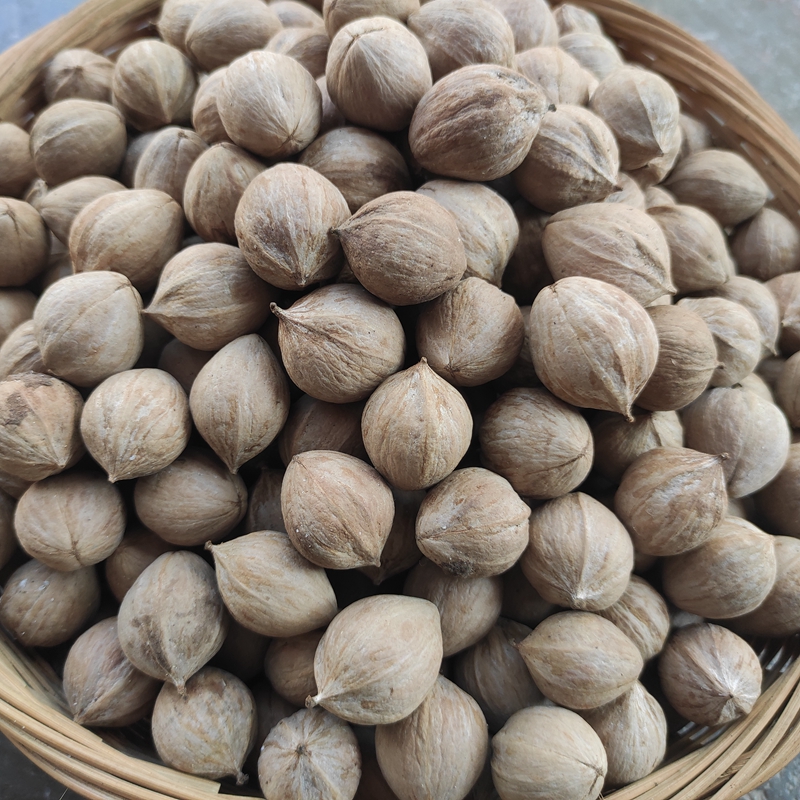 虎钢馋贵州特产野生新鲜核桃散装新货厚皮硬壳山核桃仁干批发一斤