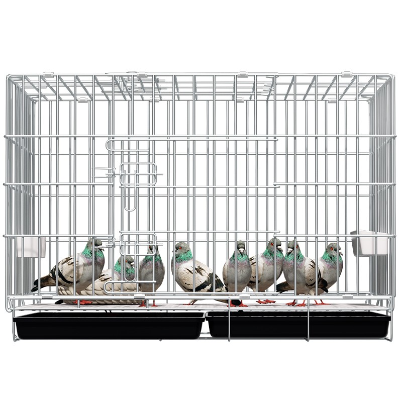 憨憨宠鸽子笼鸟笼子家用特大号繁殖笼信鸽配对笼带隔断鸡笼鸭笼鸟类